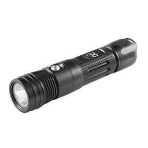 Dive Rite CX2 Handheld Torch Light
