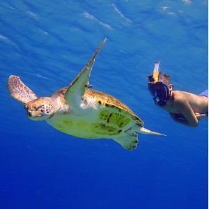 Ocean Reef ARIA QR Plus Full Face Snorkeling Mask