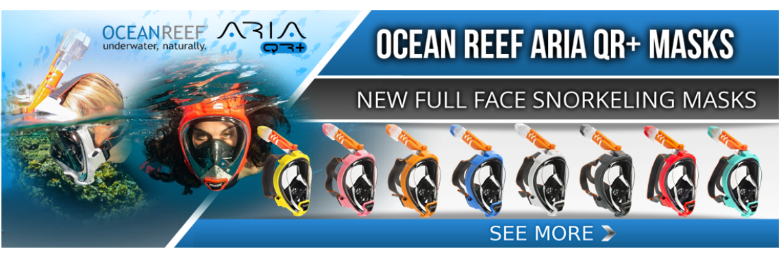 Ocean Aria Reef Full Face Masks And Fins