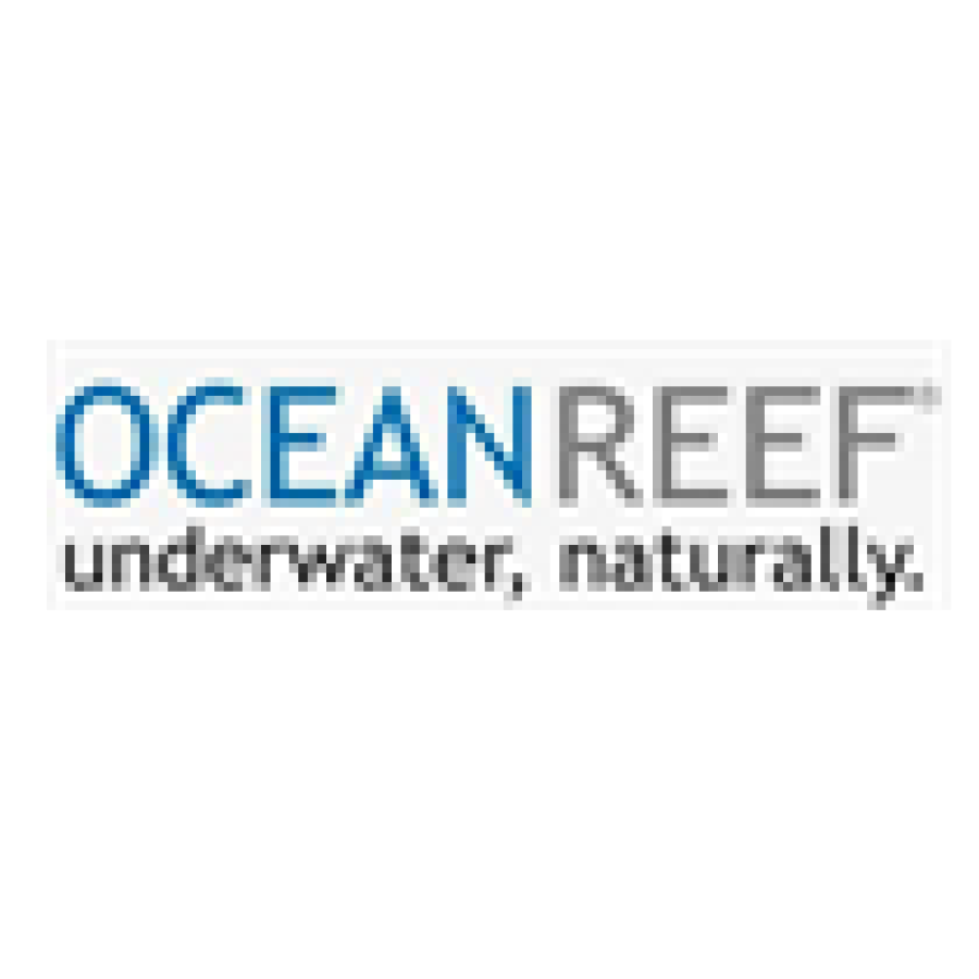 Ocean Reef Snorkeling Equipment